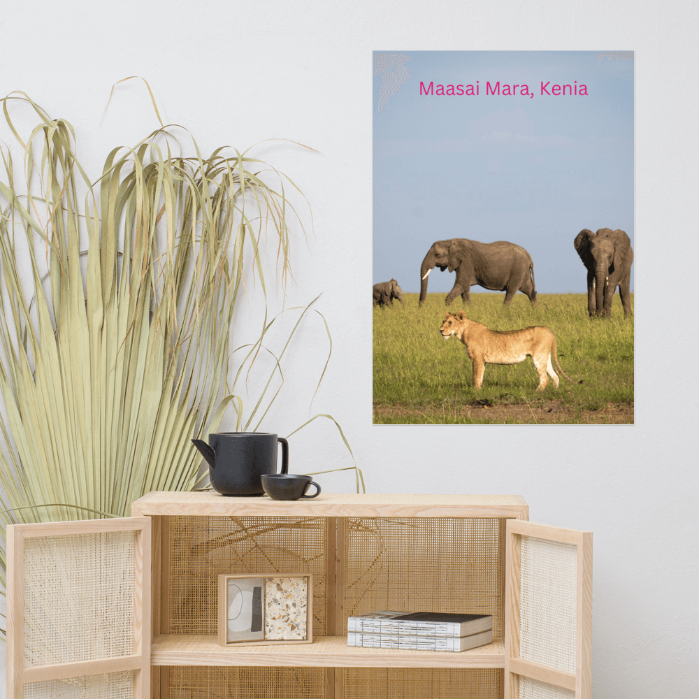 Maasai Mara Kenia poster with elephants and lion, displayed on a wall above a wooden shelf with decorative items and plants